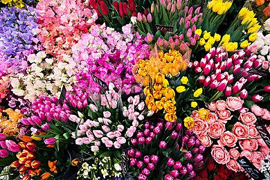 玩家5块钱薅Xbox商店羊毛 微软不兑现决定收回游戏